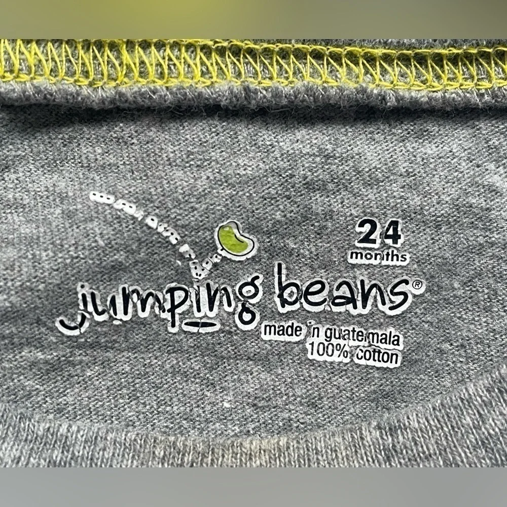 Jumping Beans Gray Chicks Short Sleeve T-shirt Baby Size 24 months - Picture 4 of 4